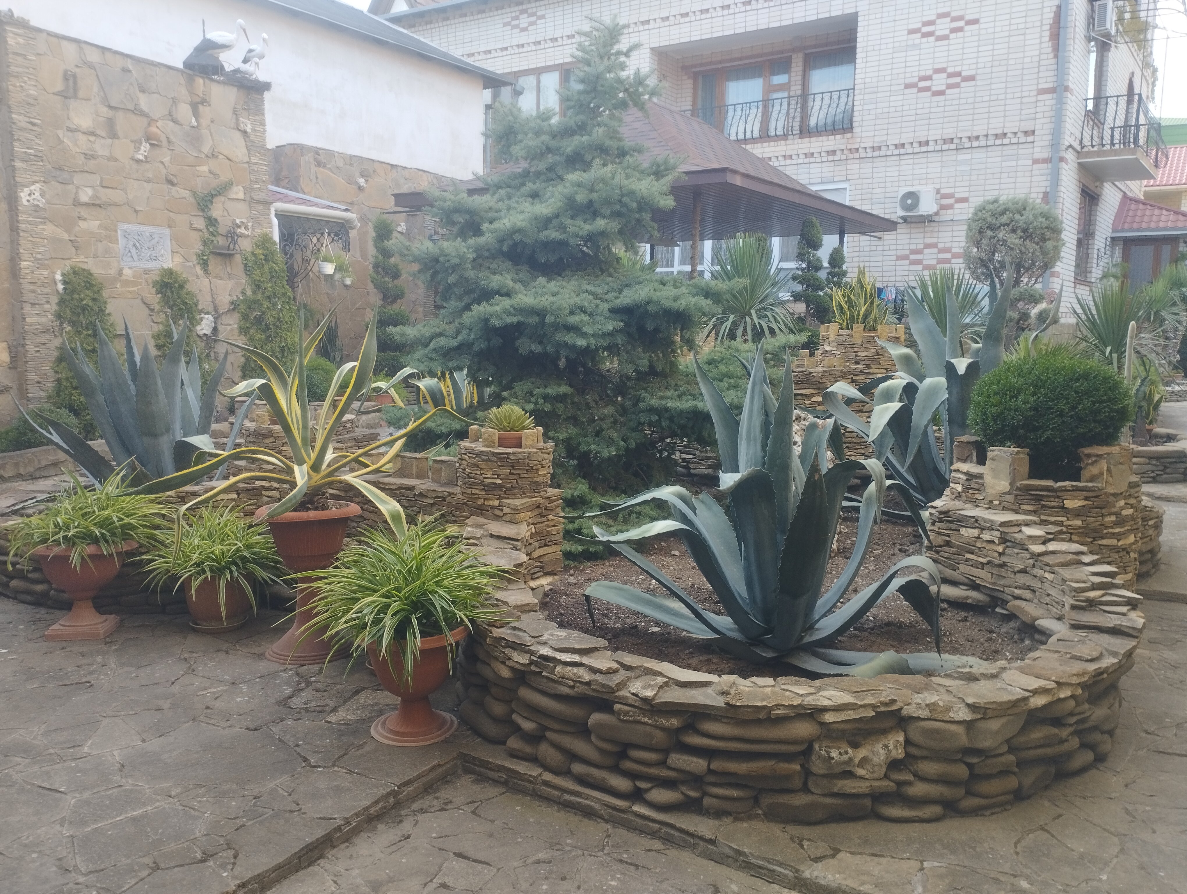 Фото Парадиз