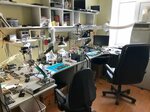 Computer repair and services (Stroiteley Avenue, 83), computer repairs and services