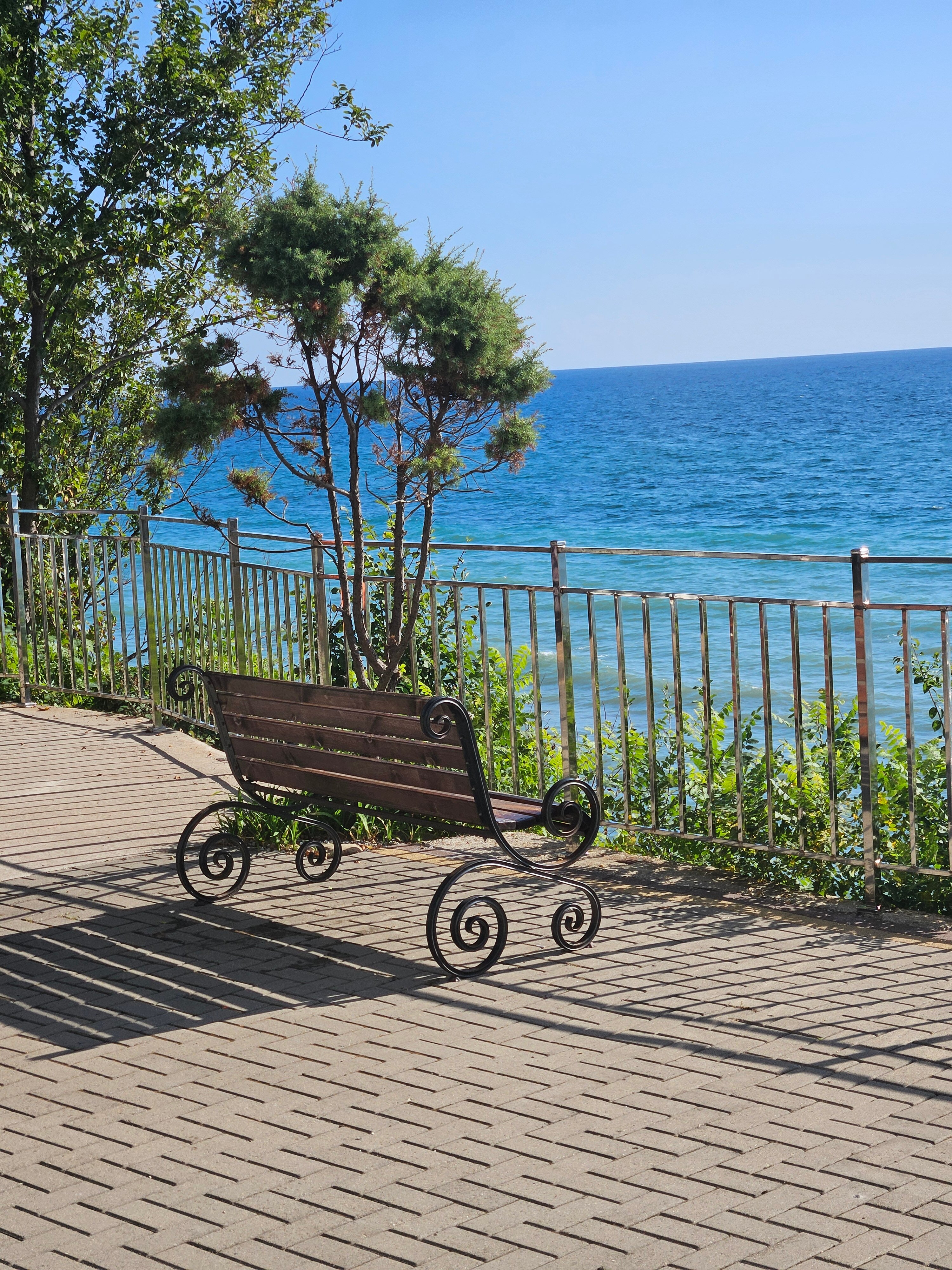 Фото Мироген