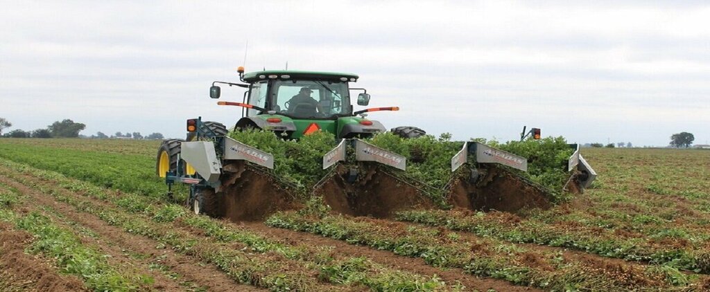 Food manufacturers Yalcinay Fistikcilik, Osmaniye, photo