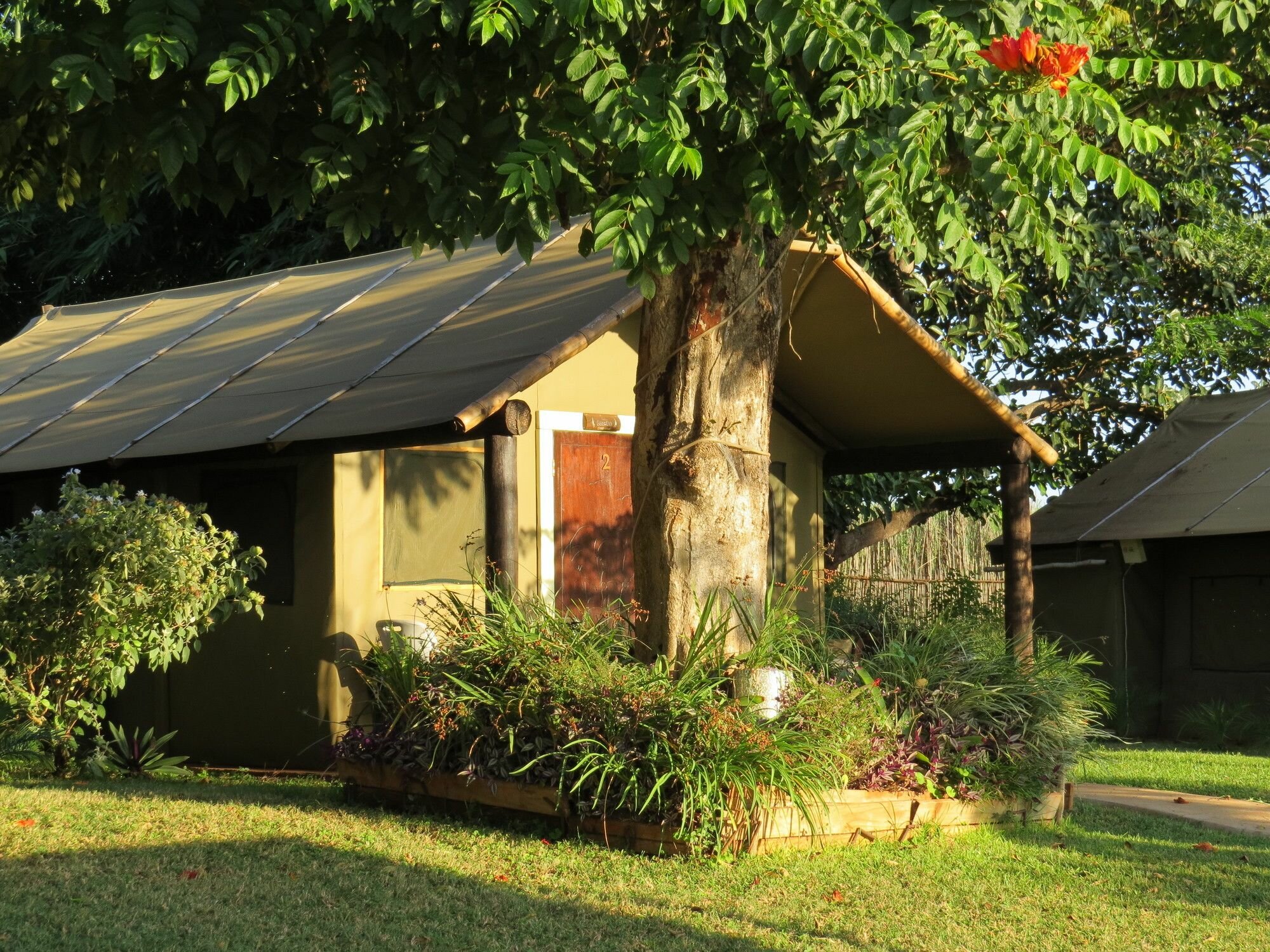 Фото Crocodile Bridge Safari Lodge