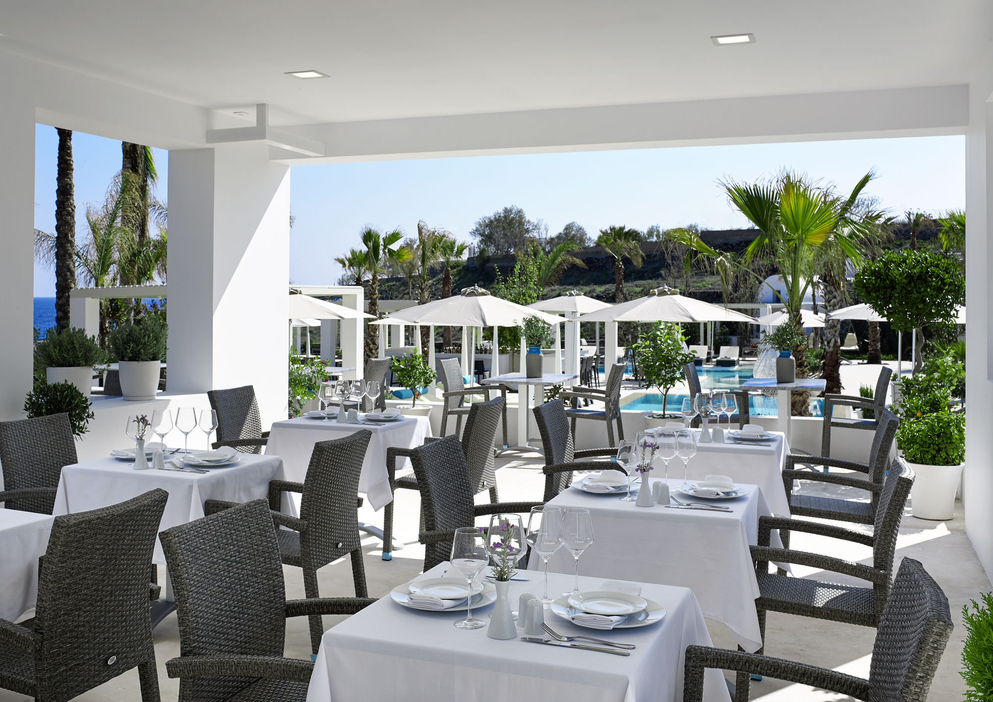 Фото Aurora Luxury Suites