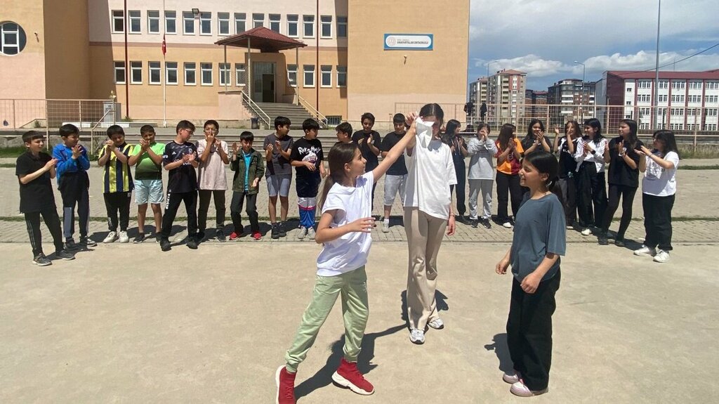 School Anafartalar Secondary School, Sarkisla, photo