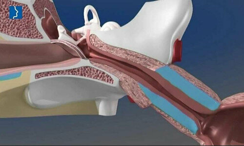 Private practice doctors Vertigo Diagnosis and Treatment Center, Istanbul, photo
