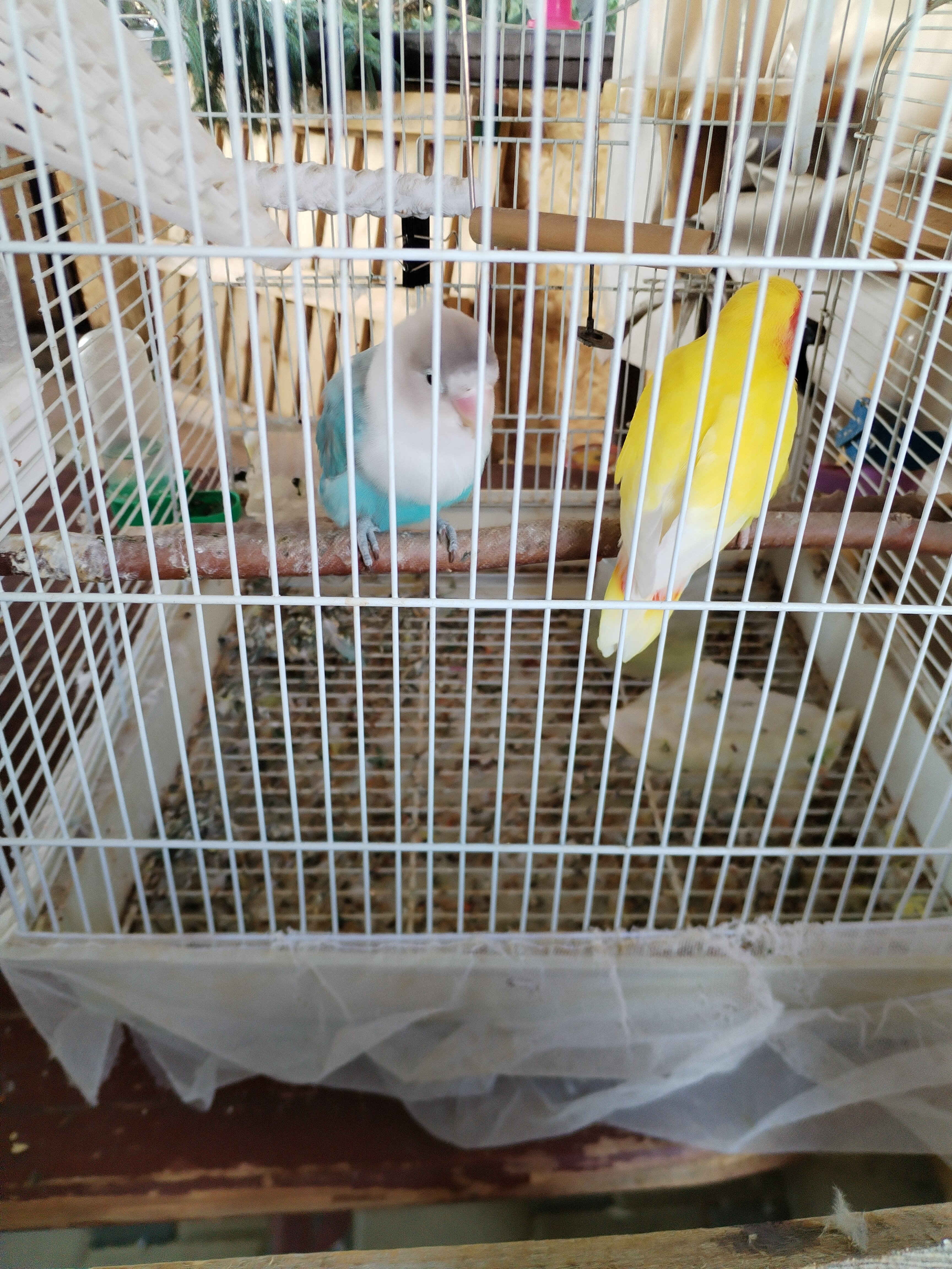 Фото White House