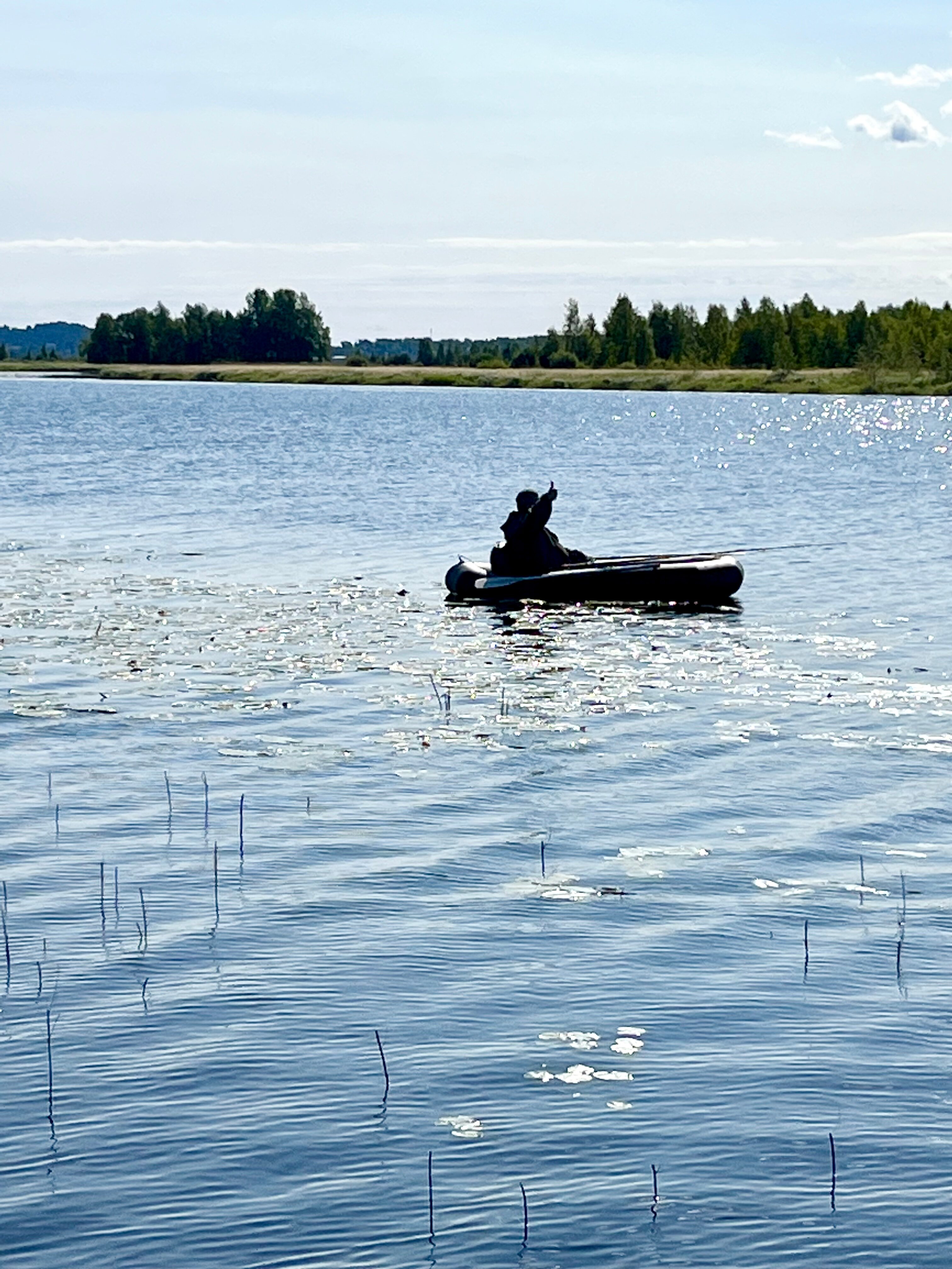 Фото Крокус