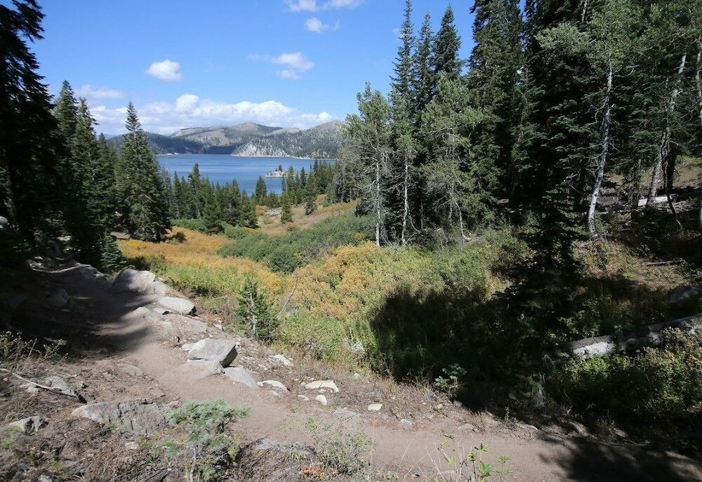 Фото Gold Dust West Carson City