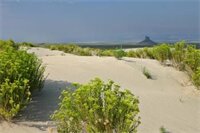 Фото Best Western Outlaw Inn