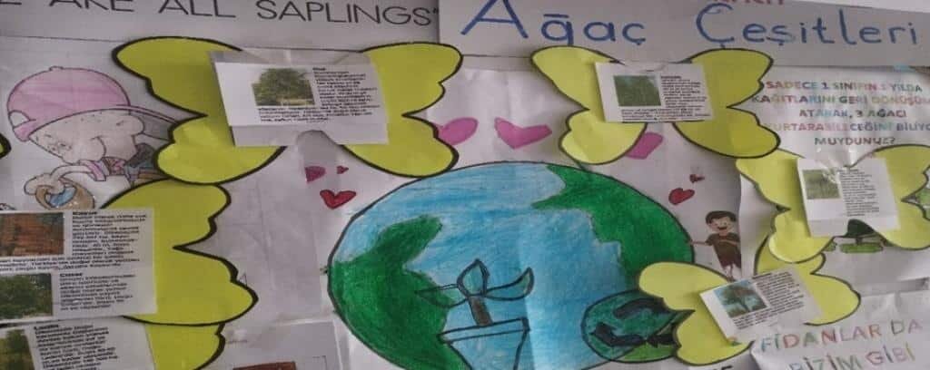 Primary school Mehmet Akif Inan Primary School, Diyarbakir, photo