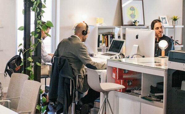 Advertising agency Hendek.net, Hendek, photo