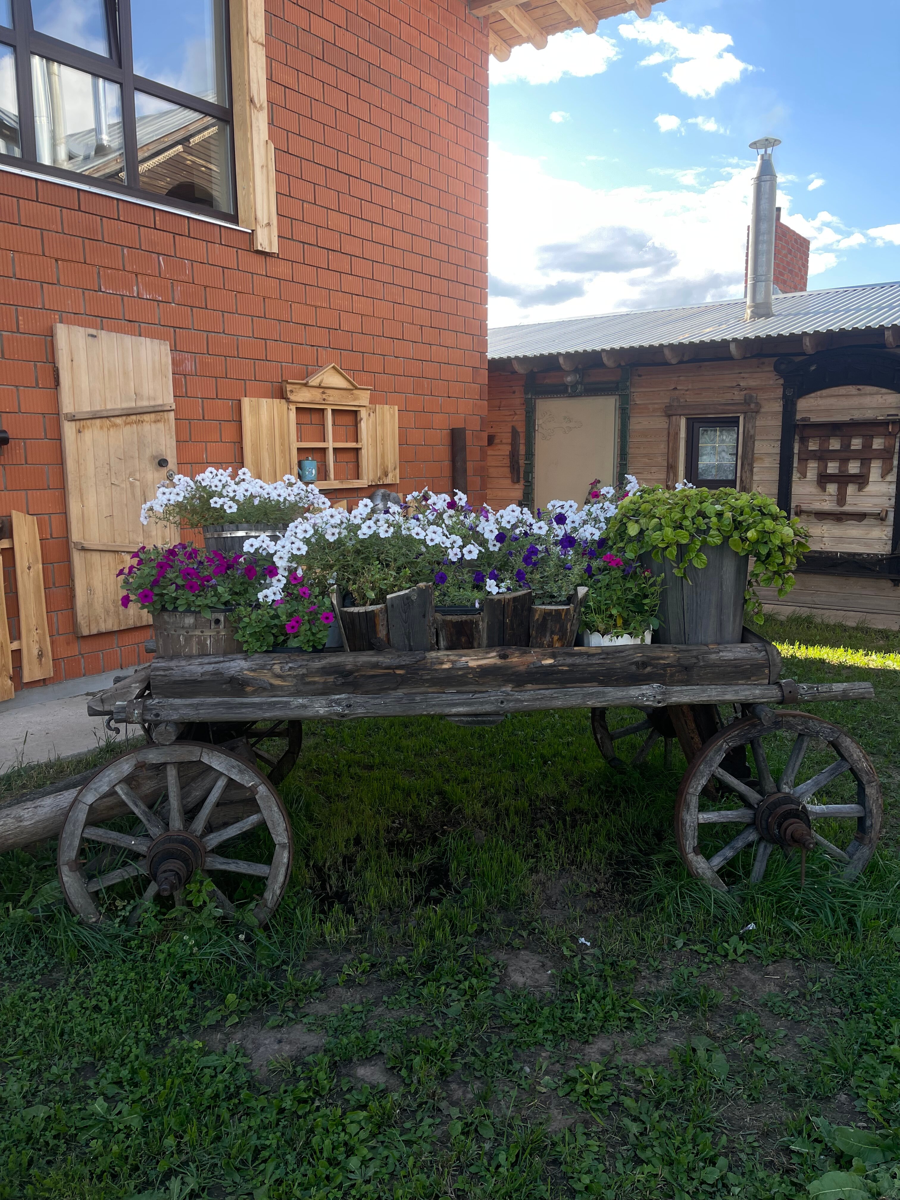 Фото Медведь