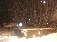 Фото Hotel Kralev Dvor