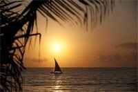 Фото Neptune Palm Beach Boutique Resort & Spa