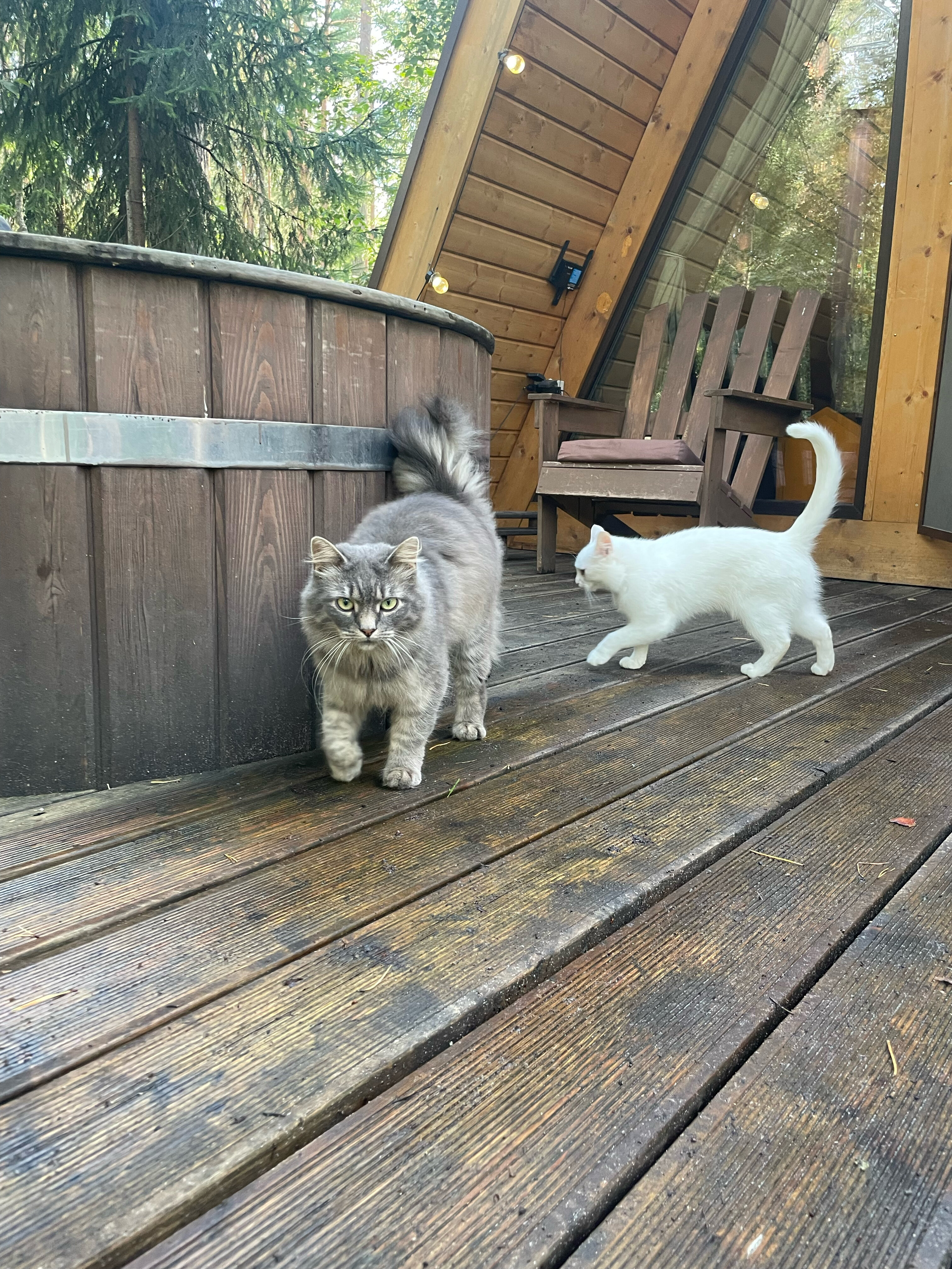 Фото Shanti Home Les