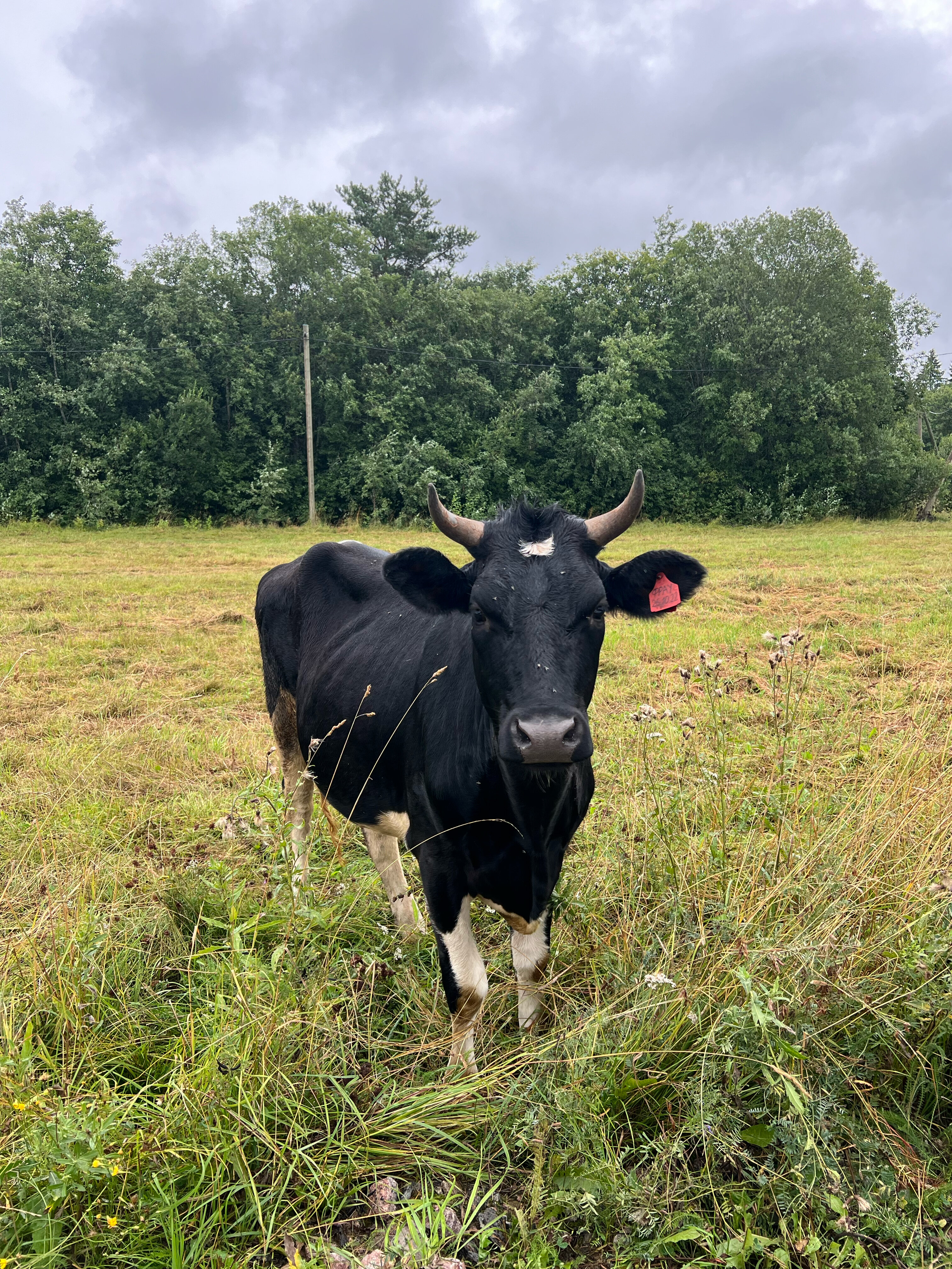 Фото Belka Village