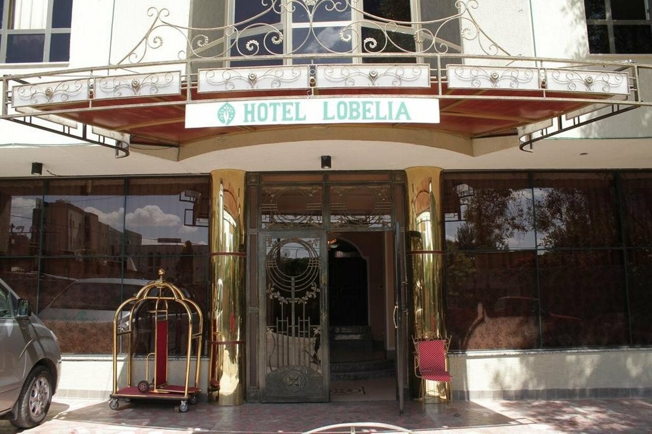 Фото Hotel Lobelia