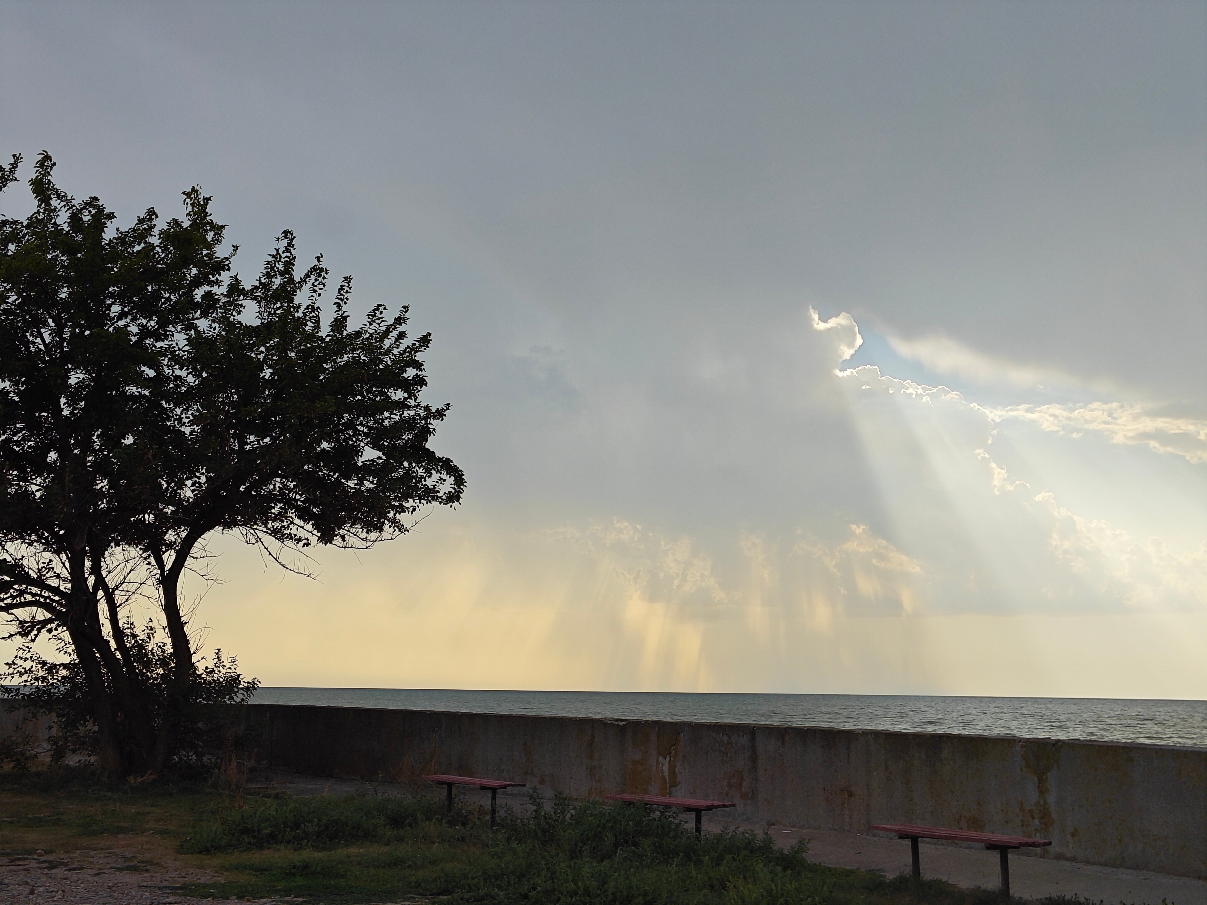 Фото 38 Попугаев