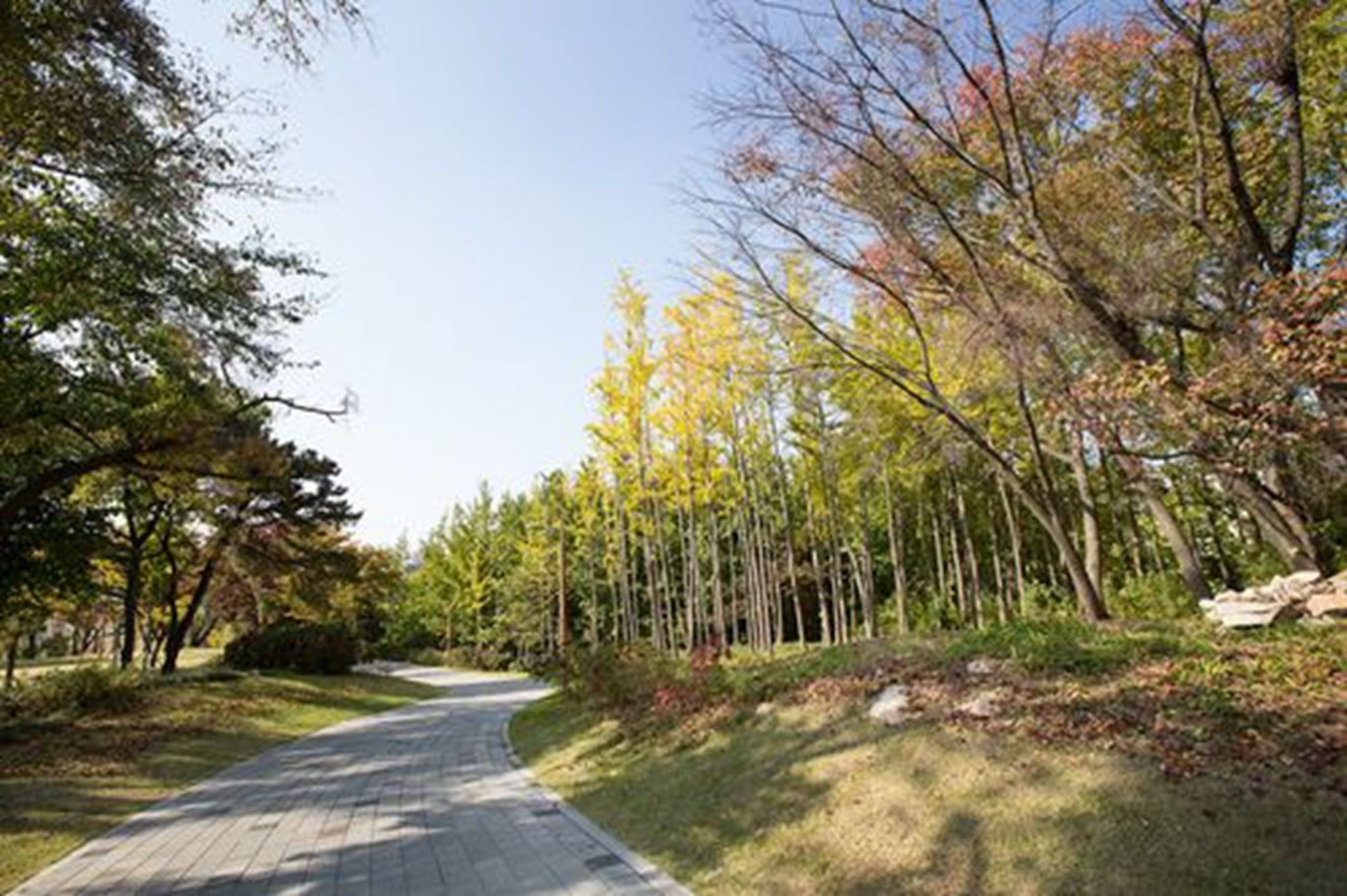 Фото Western Grace Hotel Incheon