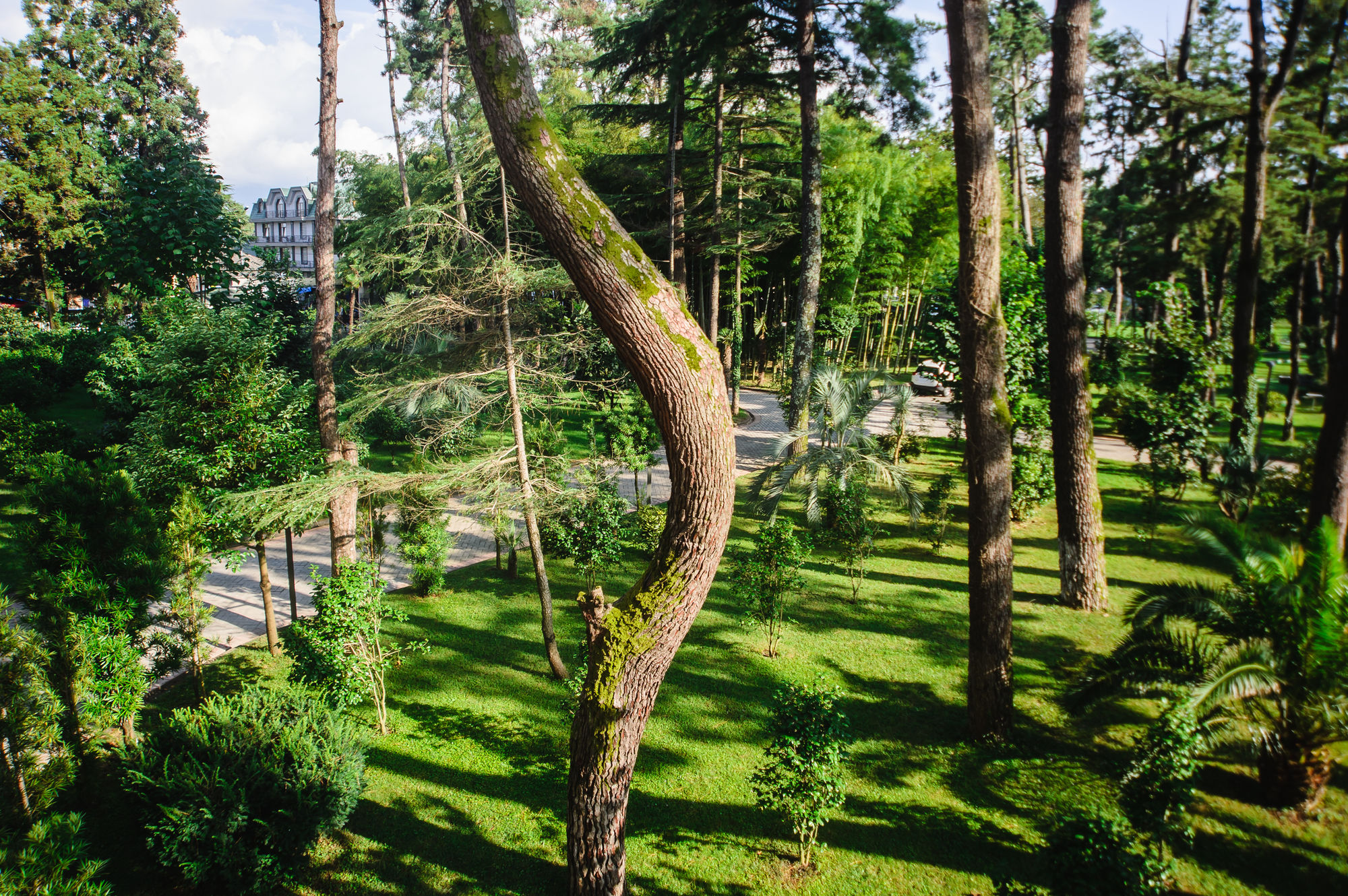 Фото Georgia Palace Hotel & SPA