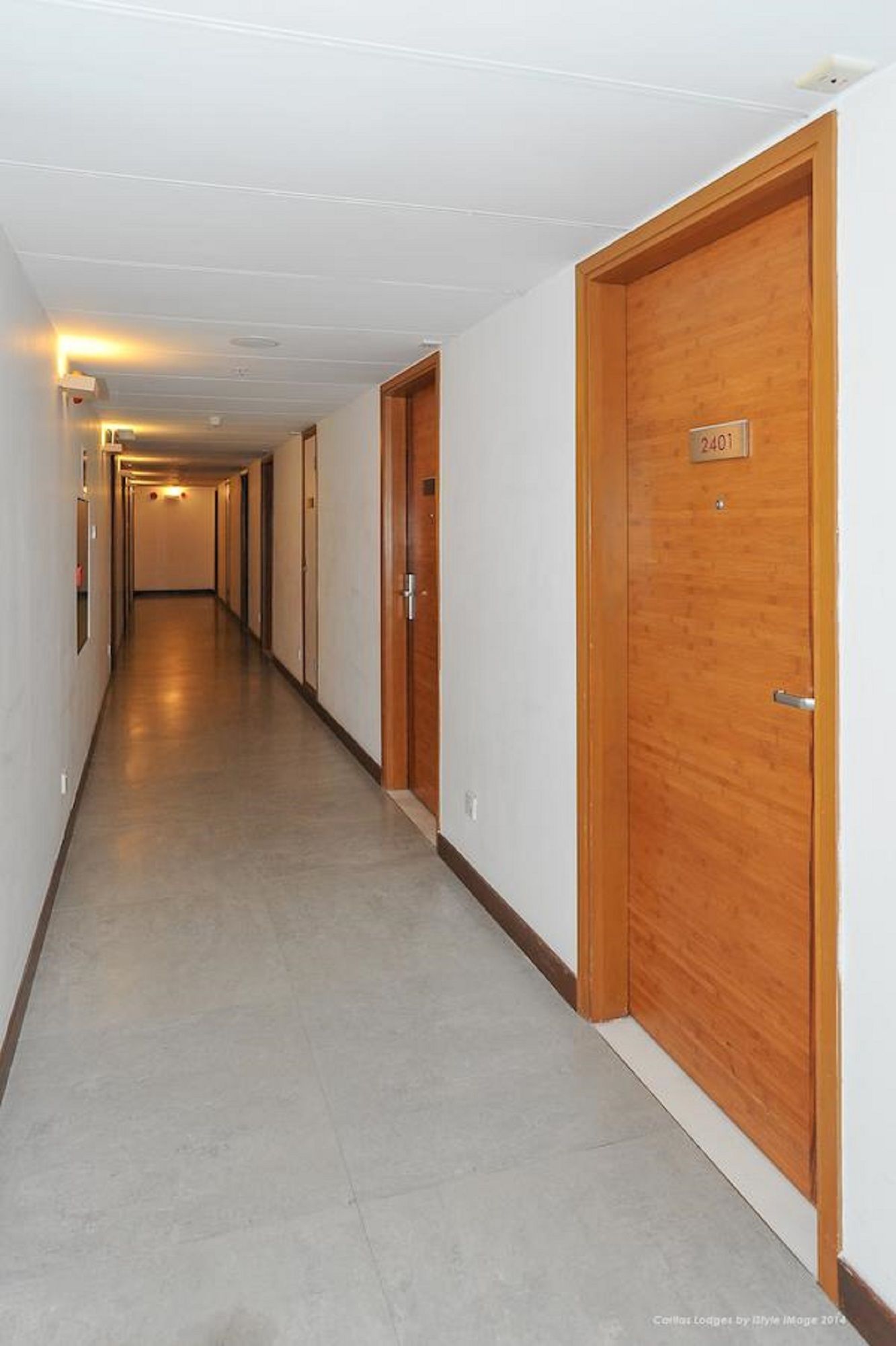 Фото 89681024316