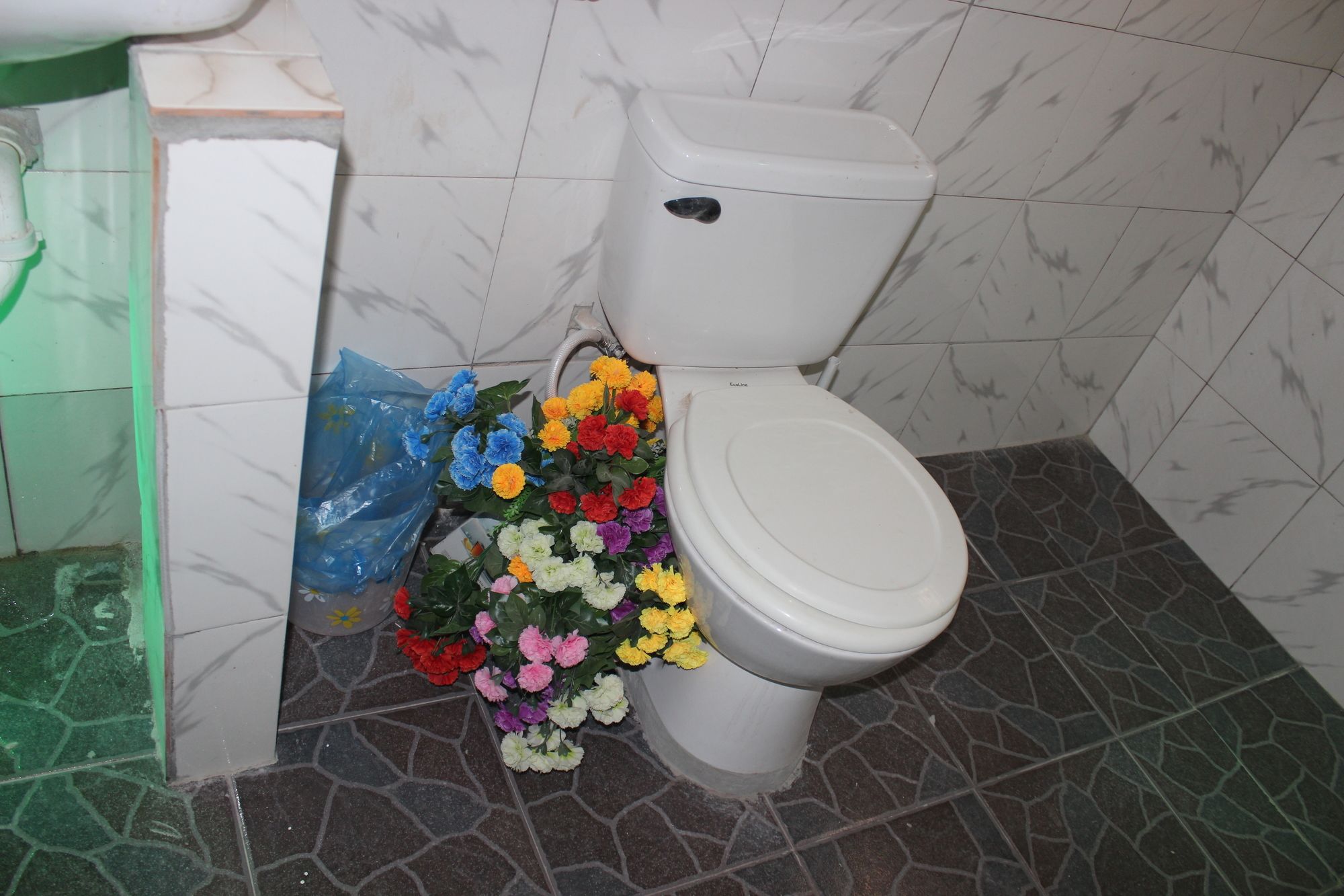 Фото Bachelor Inn Hotel