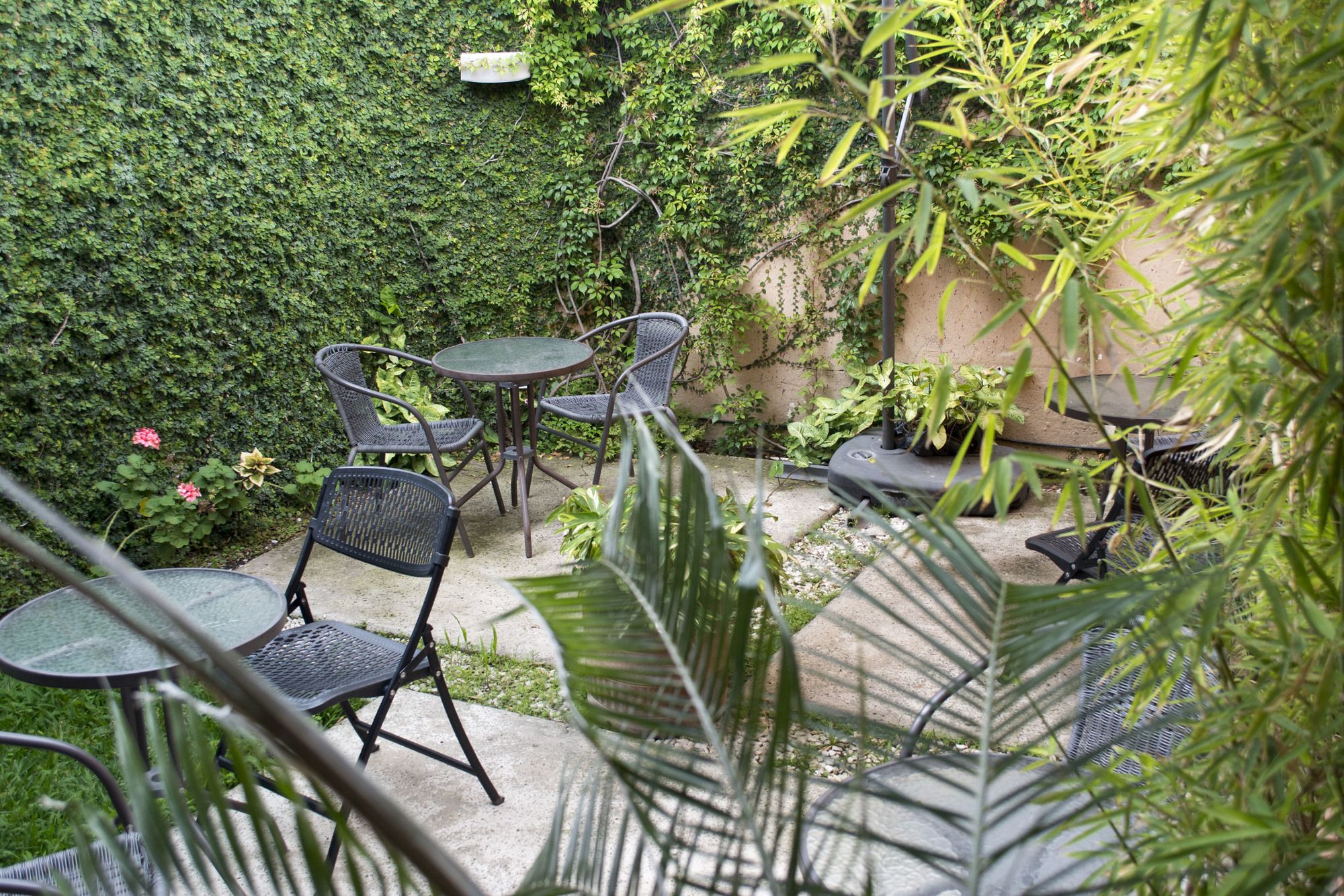 Фото Hotel Casa Bella