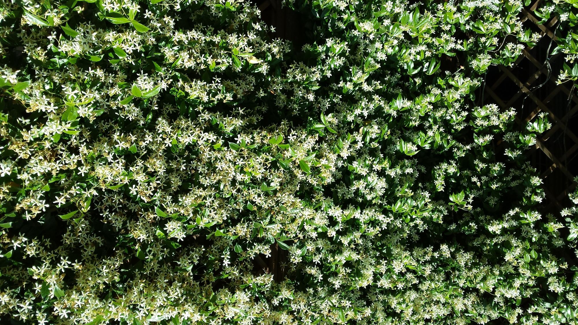 Фото St John Villa