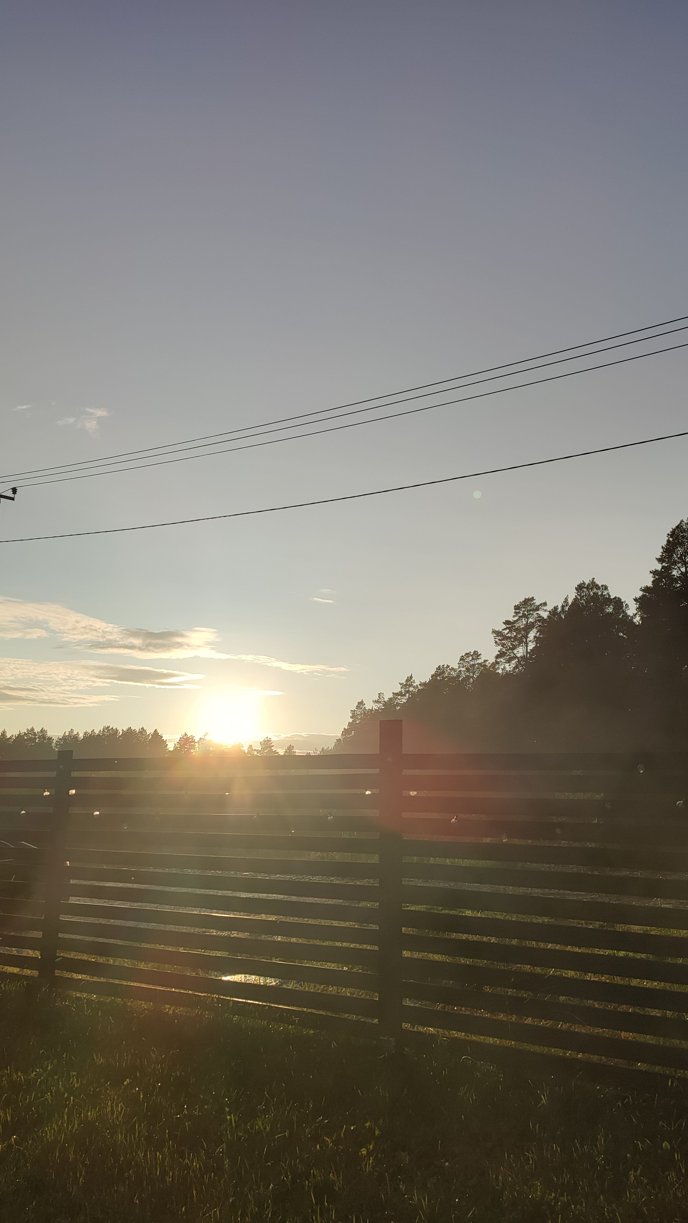 Фото Тишина