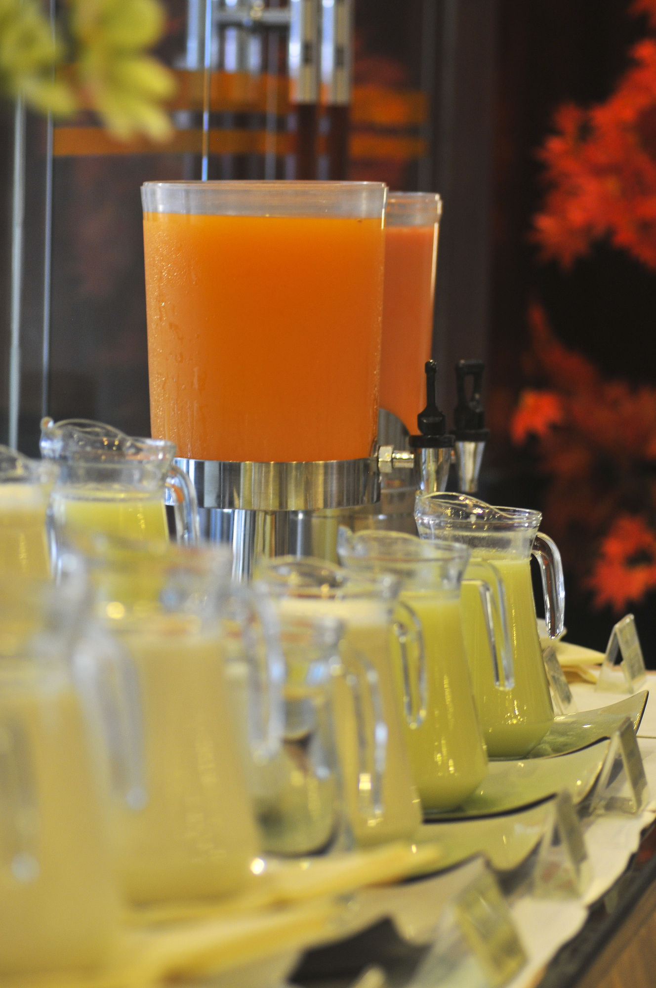 Фото The Summer Hotel