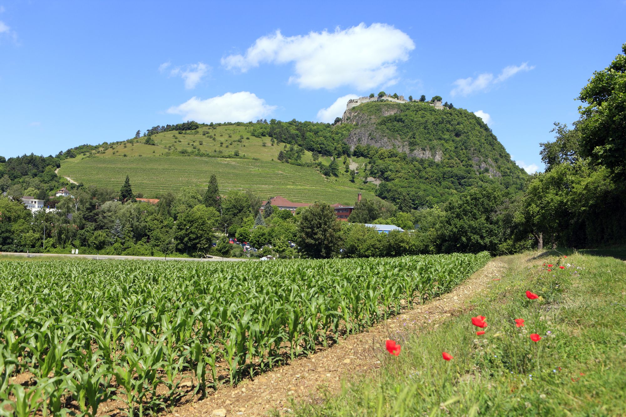 Фото Best Western Hotel Lamm