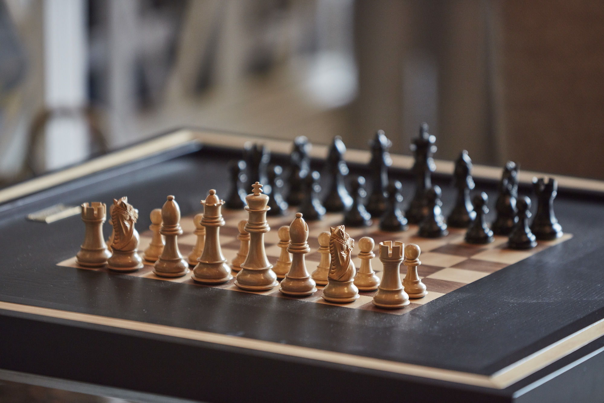 Фото Leeu Estates