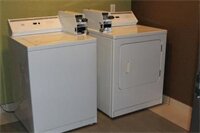 Фото Best Western Plus Arlington North Hotel & Suites