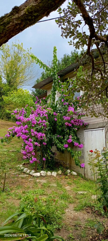Monastery, convent, abbey Монастырь Параскевы Пятницы, Gulripsh District, photo