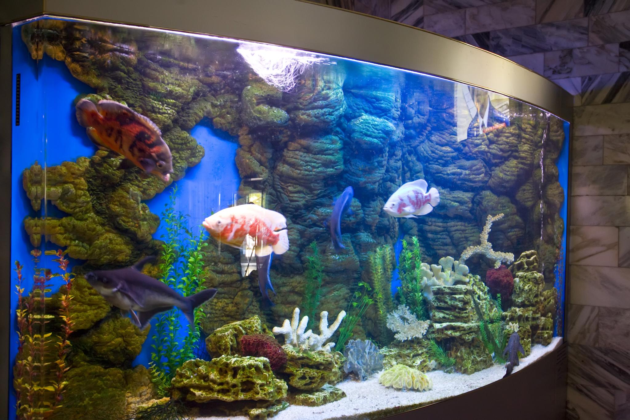 Фото Приокская