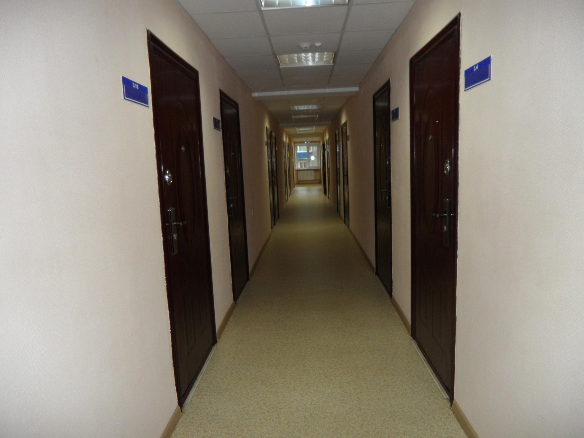 Фото Березка