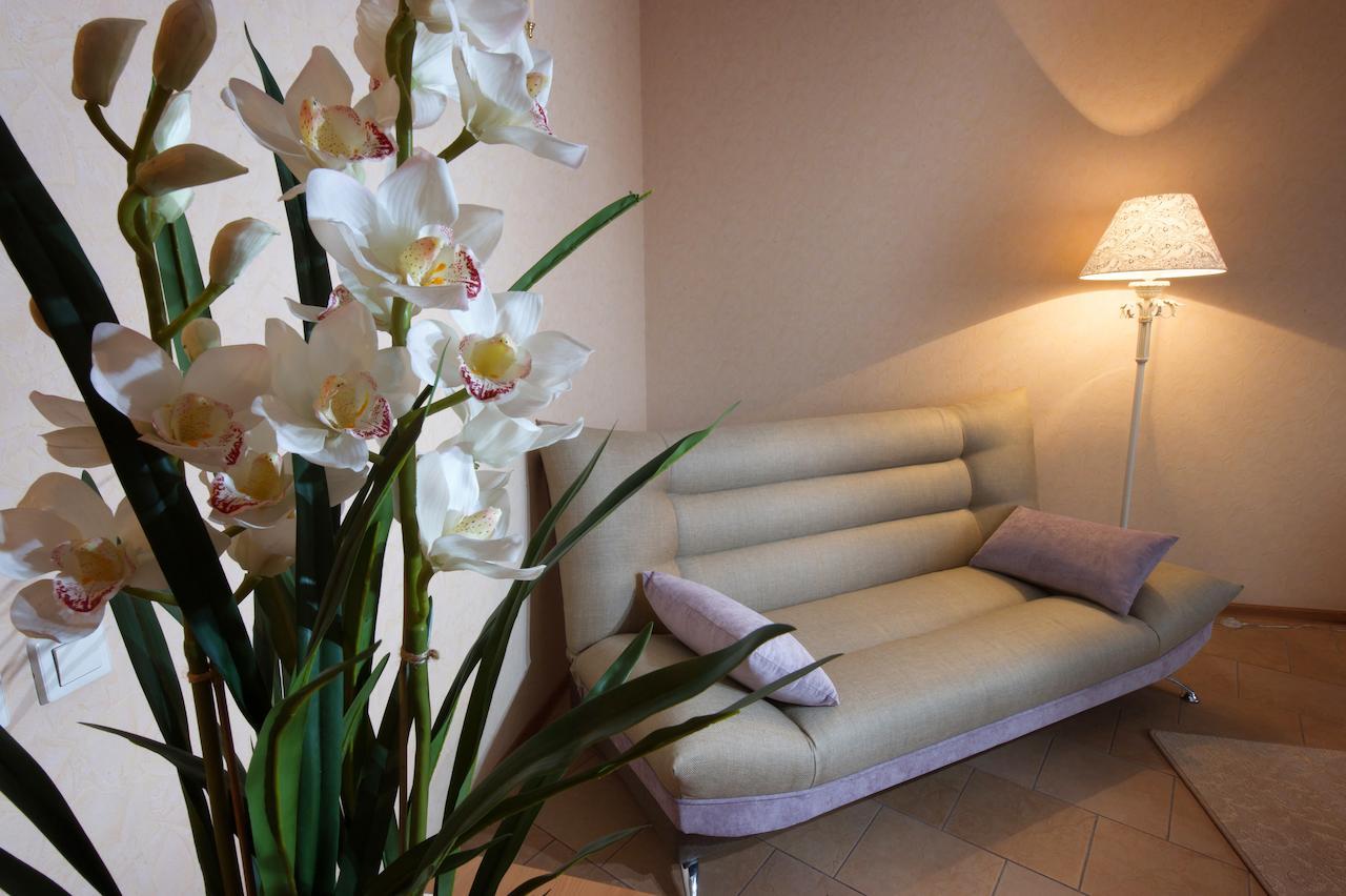 Фото Отель Новый