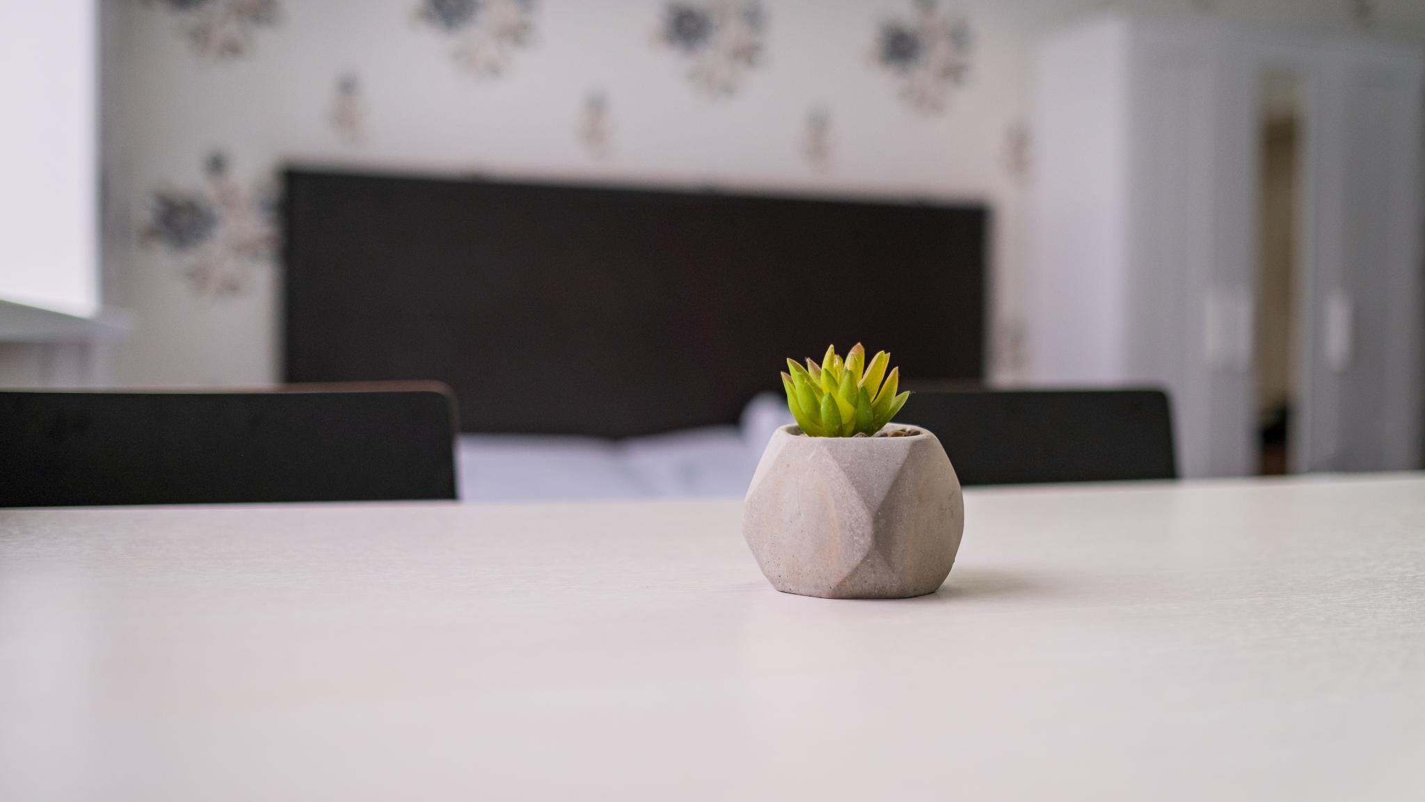 Фото Форест