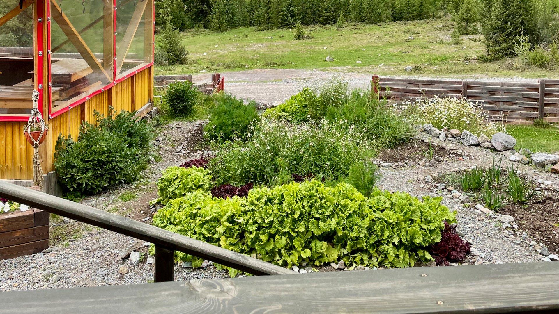 Фото Красные ворота