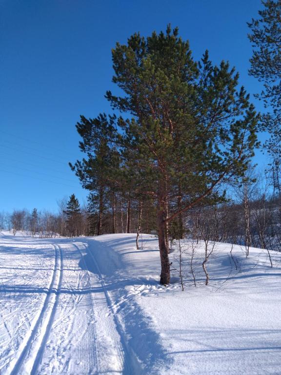 Фото Полярный круг
