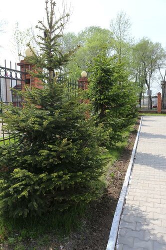 Гостиница Барбарис в Еврейской автономной области