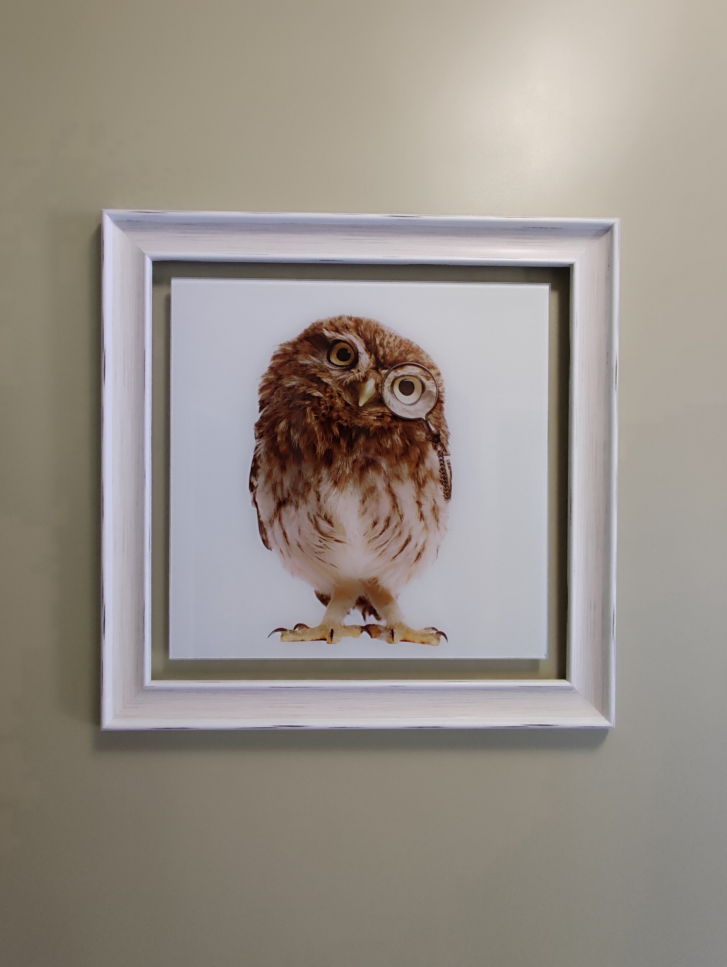 Фото Белый филин