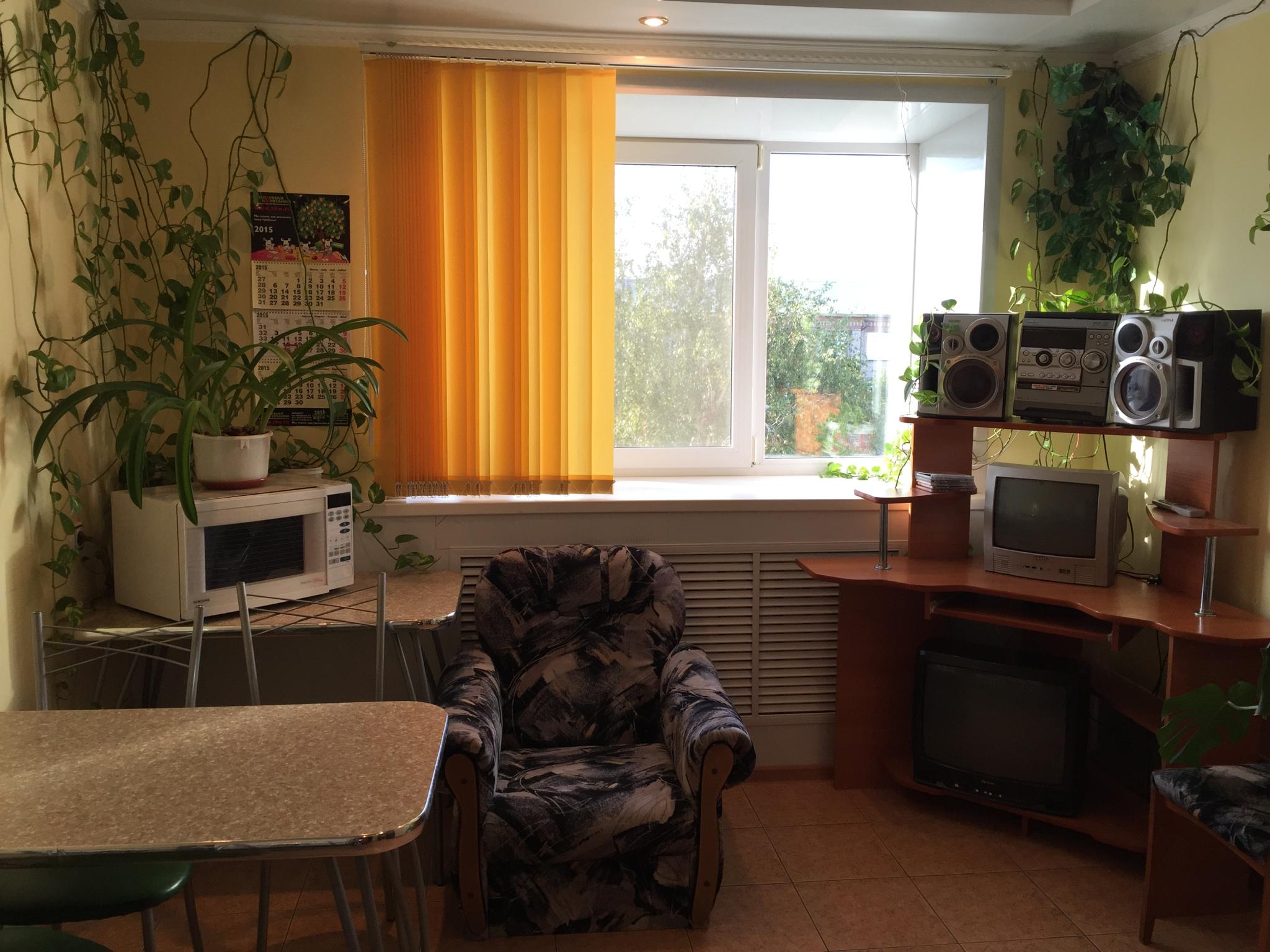 Фото Берёзка