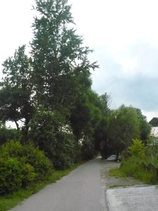 Фото Гостевой дом Домодедово