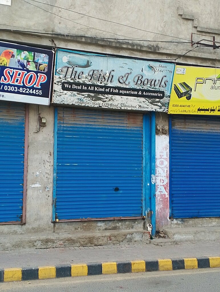 Fish and seafood The fish and bowls, Lahore, photo