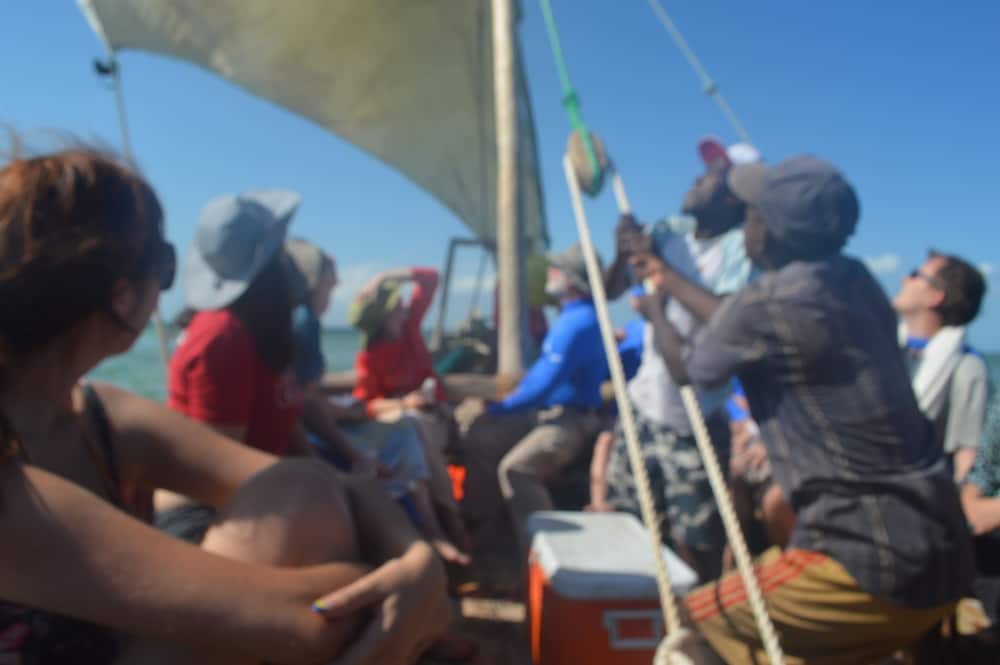 Фото Zanzibar Dream Lodge