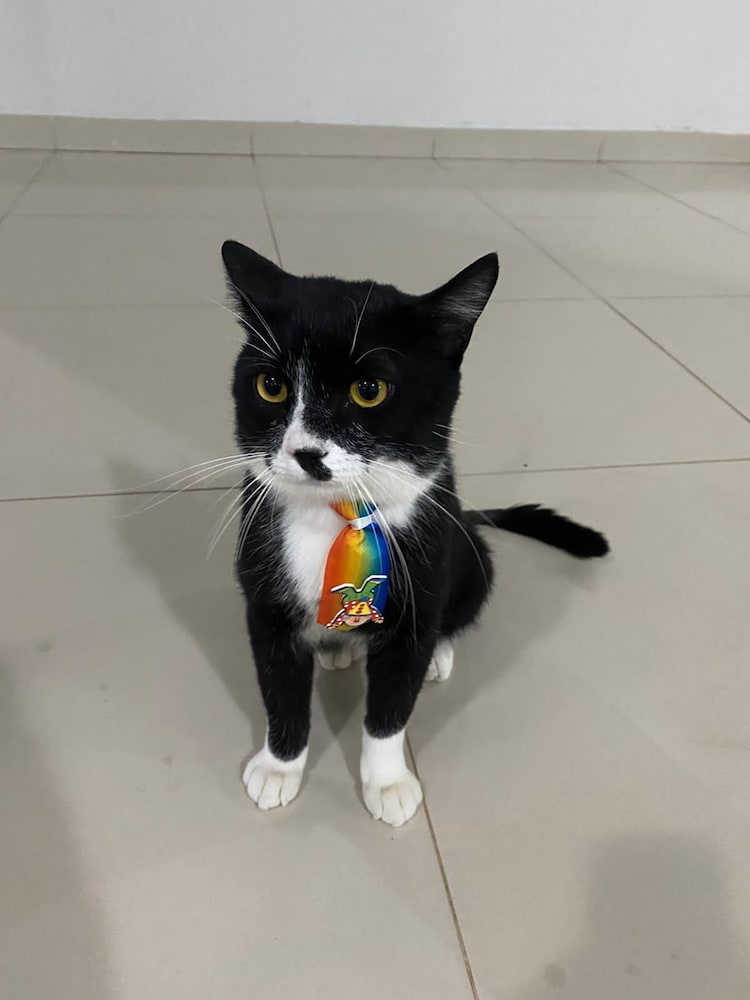 Фото Tezla Hotel