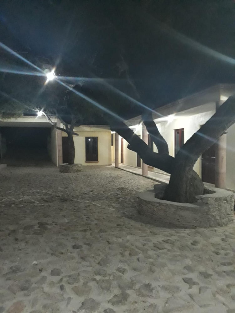 Фото Hotel Villa Aurora