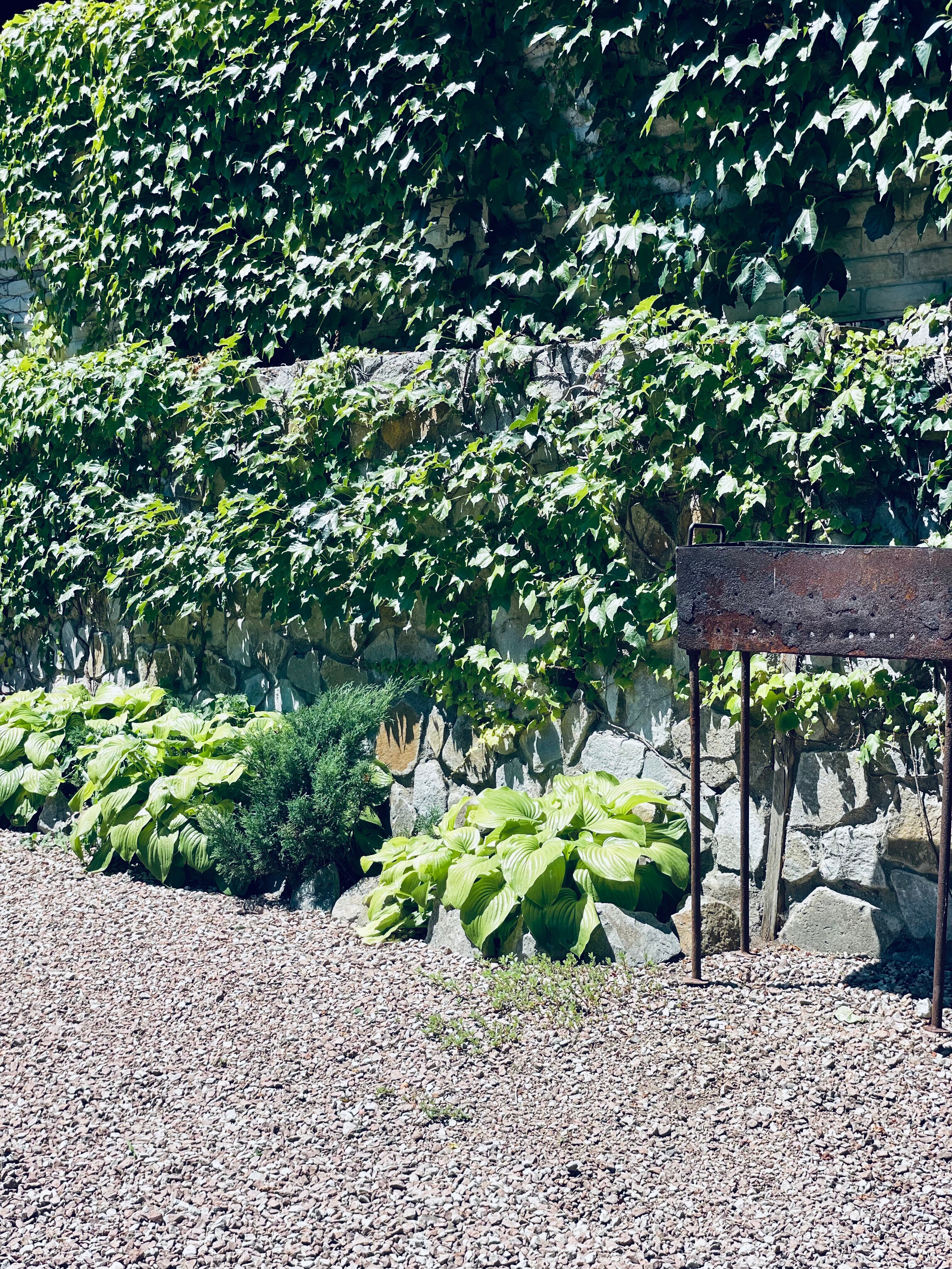 Фото Феерия