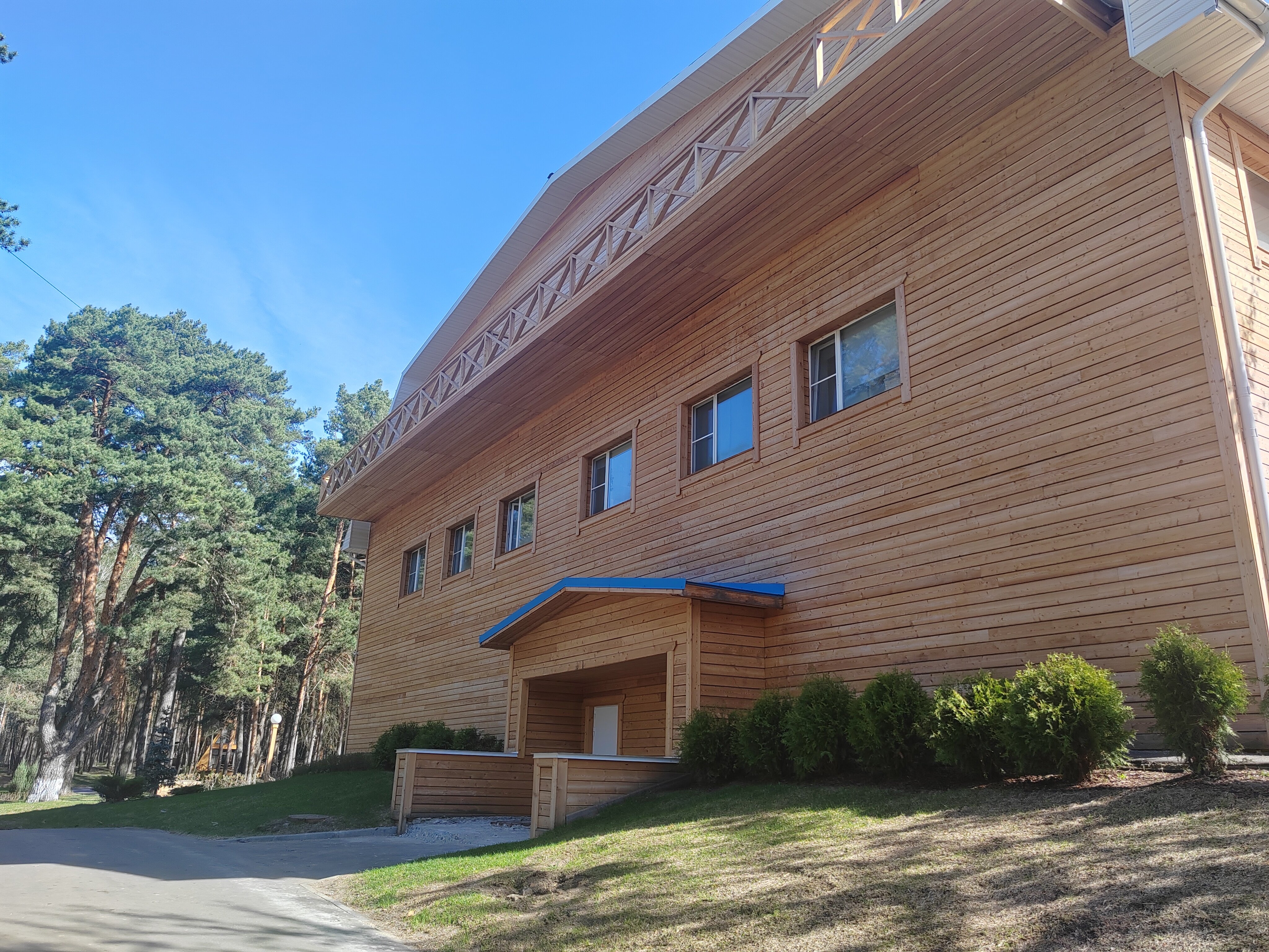 Фото Лесная опушка