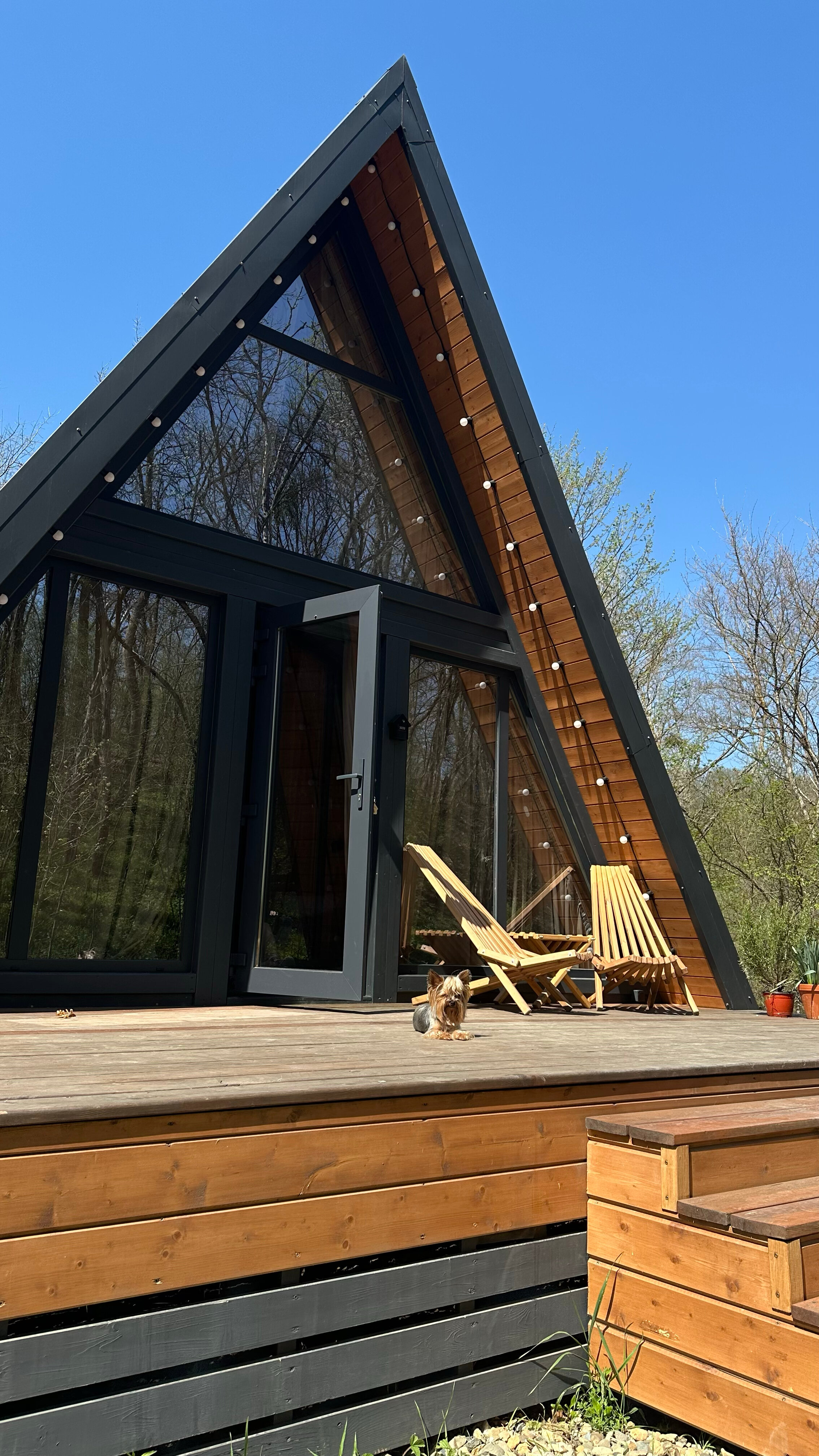 Фото Собер Глэмп